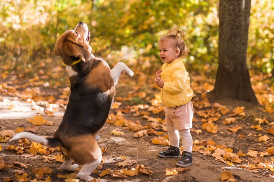 kids play with pet - print photos cyprus online